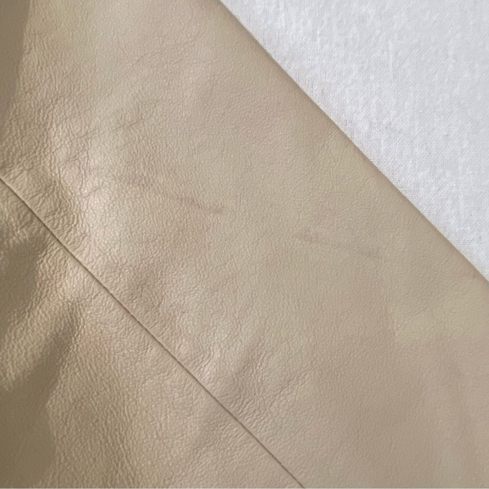 BB Dakota Steve Madden Cream Leather Jacket Minimalist Moto Size S